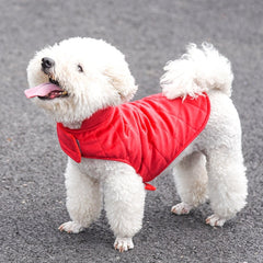 Collection image for: Pet Needs and Apparel