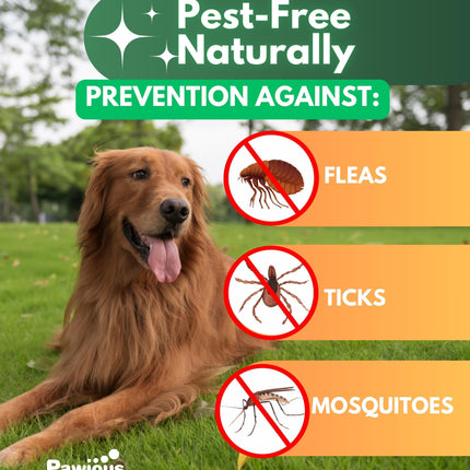 Flea and Tick Prevention for Dogs Chewables   Natural Dog Flea and