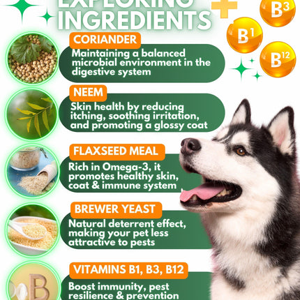 Flea and Tick Prevention for Dogs Chewables   Natural Dog Flea and