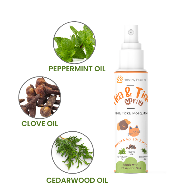 Flea and Tick Shampoo for Pets