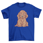 2XL / ROYAL