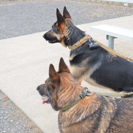 Military Dog Tactical Harness, Collar, and Leash Gear (Complete Set)