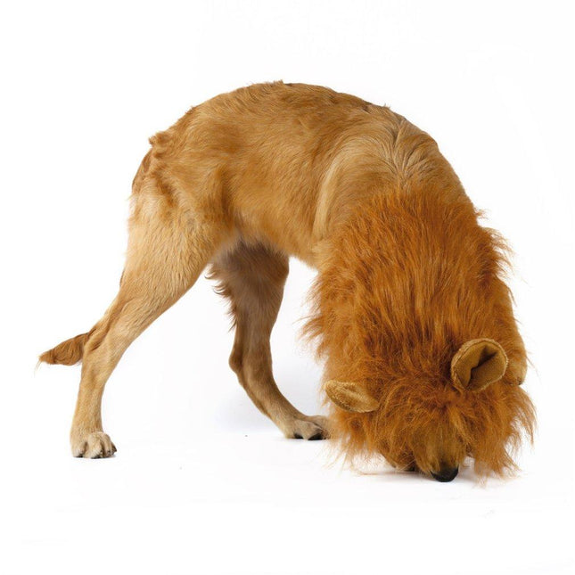 Lion Mane Wig for Dogs – Funny Halloween Pet Costume with Ears (One Size, Light Brown)